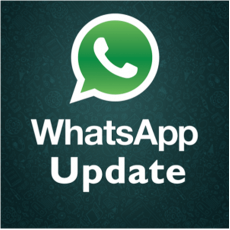 update new version of whatsapp